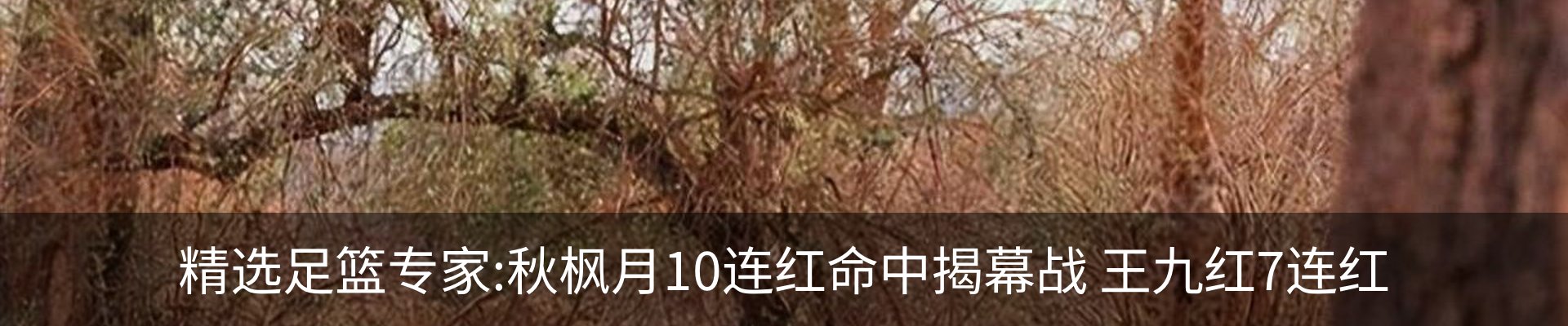 资讯中心